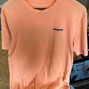 Patagonia Responsibili-Tee Logo Shirt